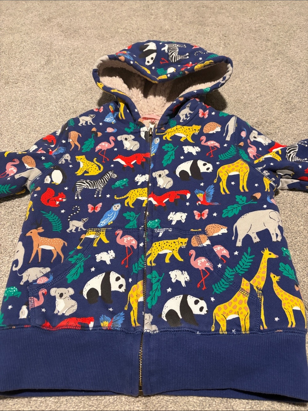 Mini Boden Zip Hoodie